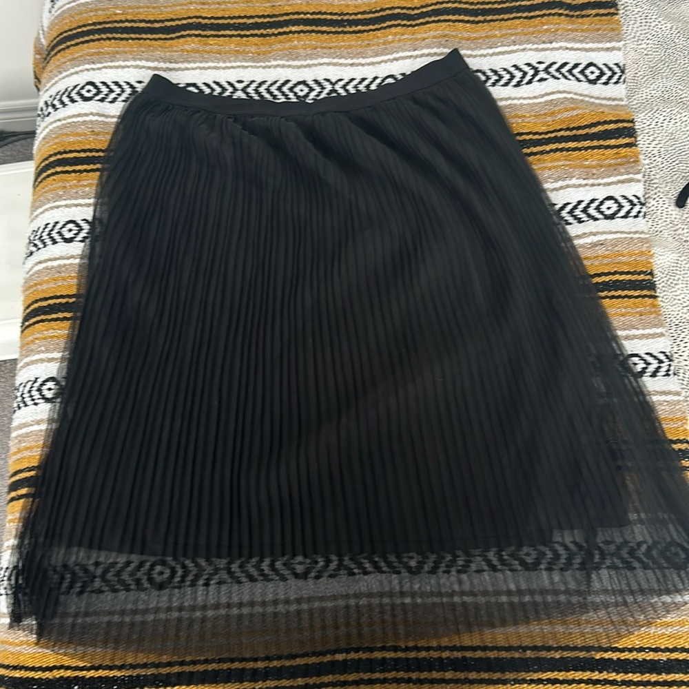 H&M Pleated Skirt